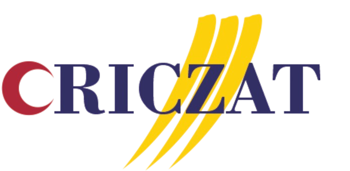 Criczat Logo
